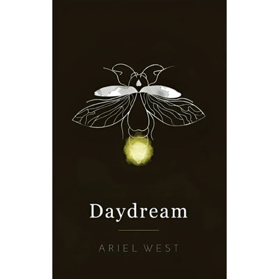Daydream: Poetry Book (Paperback)